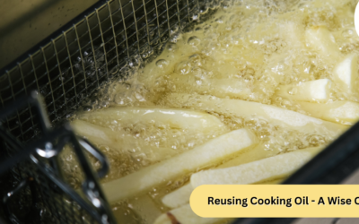 Reusing Cooking Oil – Is It a Wise Choice?